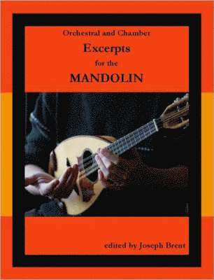 bokomslag Orchestral and Chamber Excerpts for Mandolin