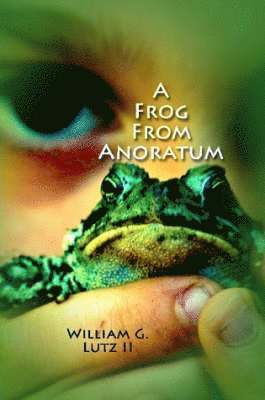 bokomslag Frog from Anoratum