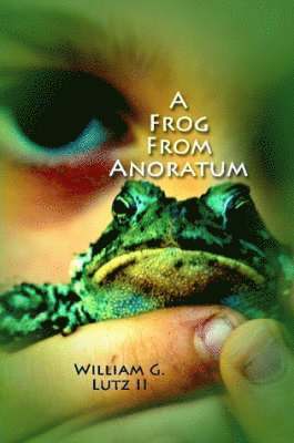 A Frog from Anoratum 1