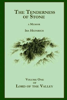 Ira Heinrich - Tenderness of Stone, Häftad