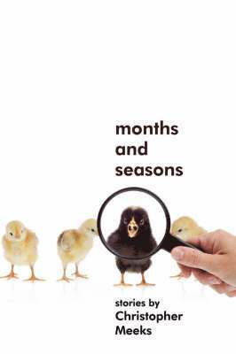 bokomslag Months and Seasons