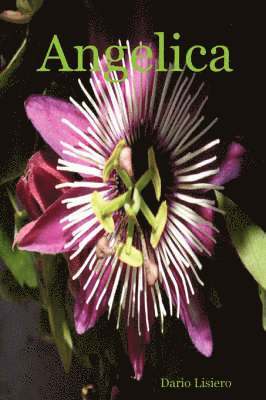 Dario Lisiero - Angelica, Häftad