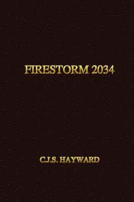 bokomslag Firestorm 2034