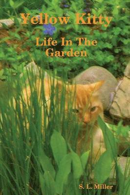 Yellow Kitty, Life In The Garden 1