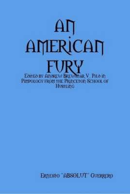 bokomslag An American Fury