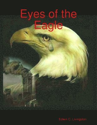 bokomslag Eyes of the Eagle