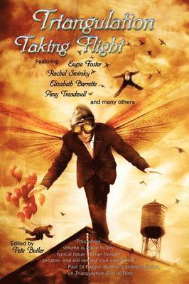 Pete Butler (editor) - Triangulation: Taking Flight, Häftad
