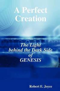 bokomslag A Perfect Creation: The Light Behind the Dark Side of GENESIS