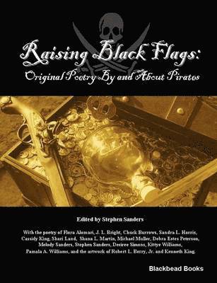 Stephen Sanders - Raising Black Flags, Häftad