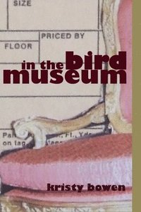 bokomslag In the Bird Museum