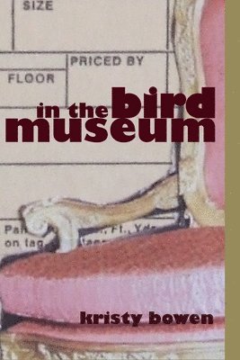 In the Bird Museum 1