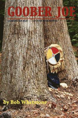 Goober Joe: Coming of Age~A Civil War Novel