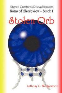 bokomslag Nums of Shoreview: Stolen Orb