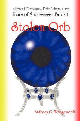 bokomslag Nums of Shoreview: Stolen Orb