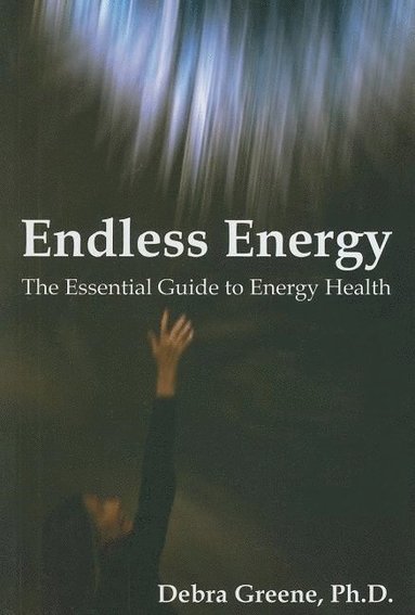 bokomslag Endless Energy