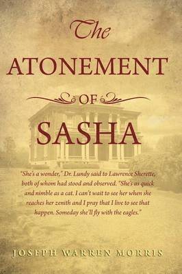 bokomslag The Atonement of Sasha