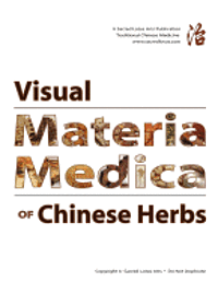 bokomslag Visual Materia Medica of Chinese Herbs