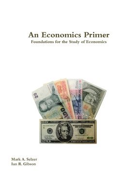 bokomslag An Economics Primer