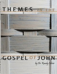 bokomslag Themes in the Gospel of John