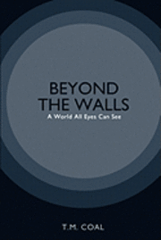 bokomslag Beyond The Walls: A World All Eyes Can See