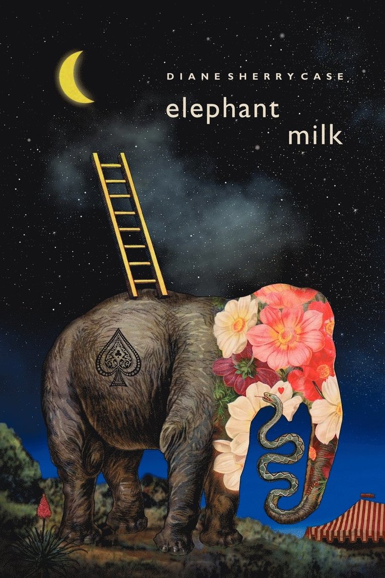 Diane Sherry Case - Elephant Milk, Häftad