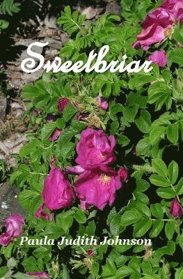 bokomslag Sweetbriar