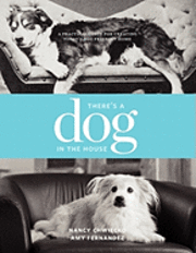 bokomslag There's a Dog in the House: A Practical Guide to Creating Today's Dog Friendly Home
