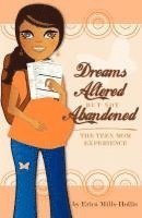 bokomslag Dreams Altered But Not Abandoned - The Teen Mom Experience