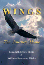 bokomslag Wings, The Journey Home