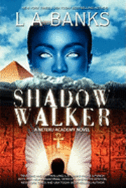 bokomslag Shadow Walker: A Neteru Academy Book