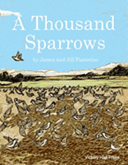 bokomslag A Thousand Sparrows