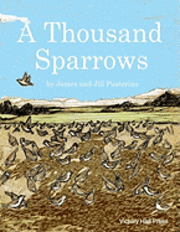 A Thousand Sparrows 1