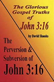 bokomslag The Perversion and Subversion of John 3: 16