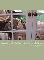 Love is...a dog's view through candid photos 1