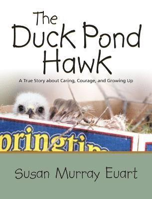 The Duck Pond Hawk 1