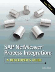 SAP NetWeaver(R) Process Integration: A Developer's Guide 1