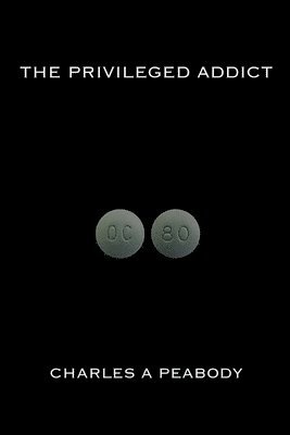 bokomslag Privileged Addict
