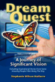 bokomslag DreamQuest: A Journey of Significant Vision