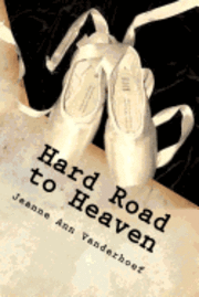 bokomslag Hard Road to Heaven