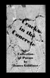 James Goldiner - Cracks in the Concrete, Häftad. Tillgänglighet: Lägg i varukorg