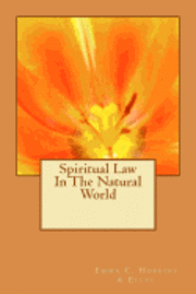 bokomslag Spiritual Law In The Natural World