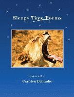 bokomslag Sleepy Time Poems