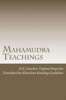 Garchen Triptrul Rinpoche, Peter Barth - Mahamudra Teachings, Häftad