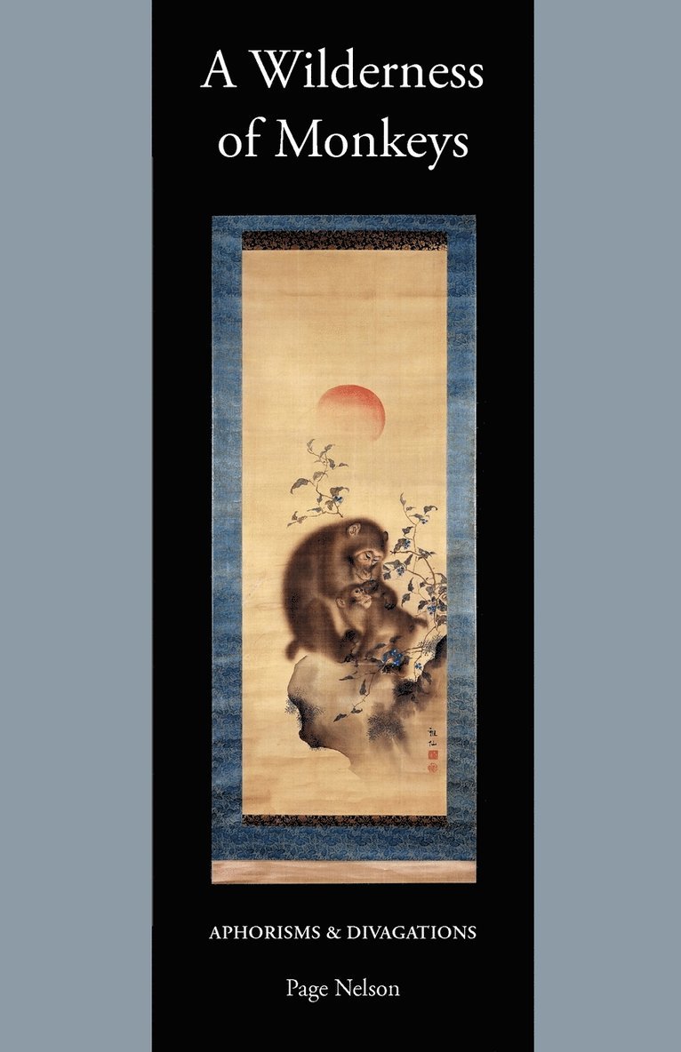 Wilderness of Monkeys