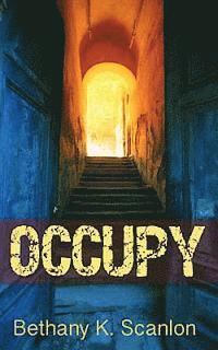 bokomslag Occupy