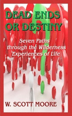 Dead Ends or Destiny?: Seven Paths through the Wilderness Experiences of Life 1
