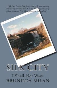 bokomslag Silk City: I Shall Not Want