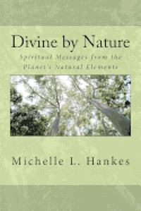 bokomslag Divine by Nature: Spiritual Messages from the Planet's Natural Elements