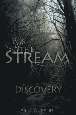 The Stream 1