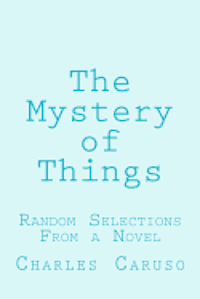 bokomslag The Mystery of Things: Random Selections From a Novel